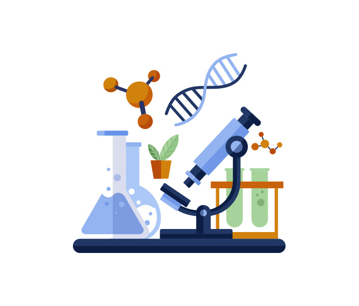 Ingeniería Química