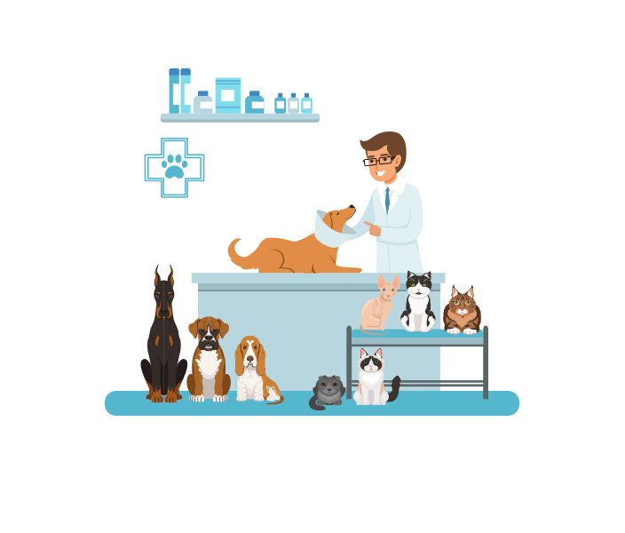 Veterinaria